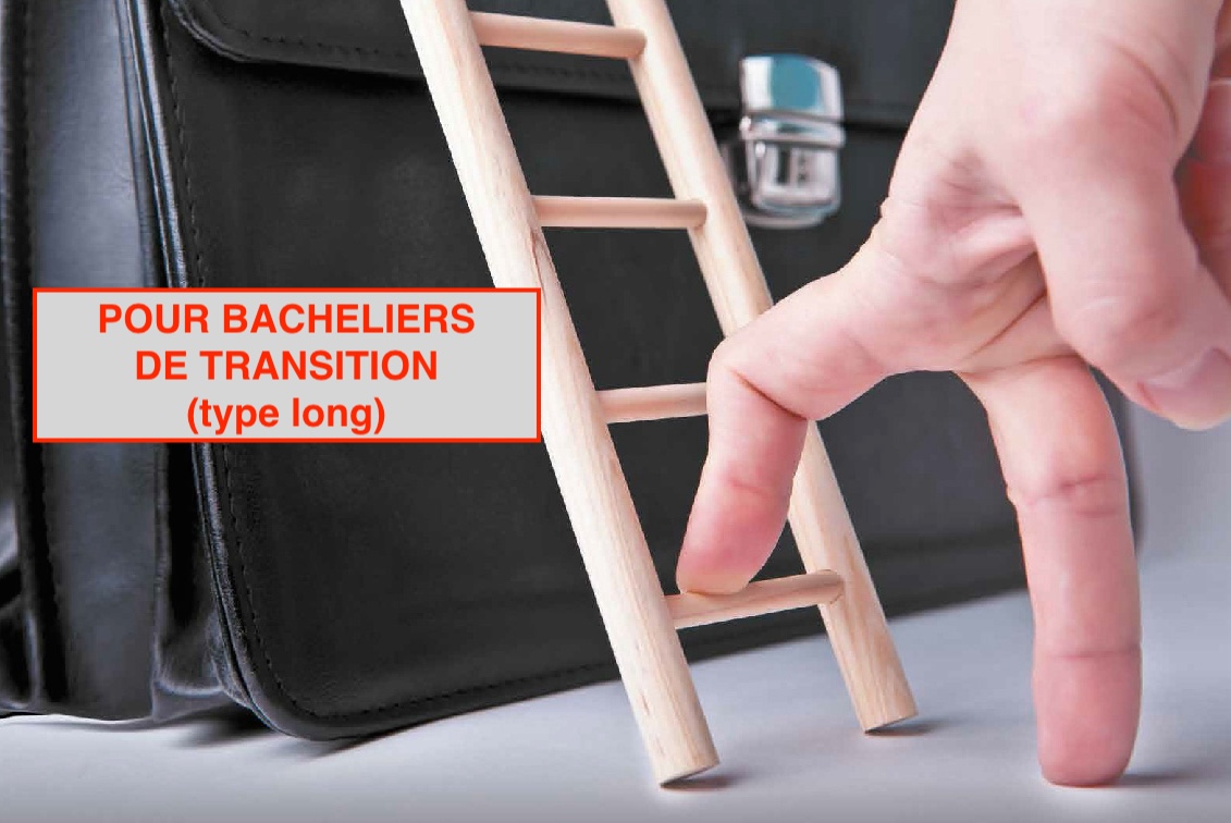 image d'illustration pour la FAQ <b>Passerelles</b> > à quels masters ai-je accès après un bachelier de transition (type long - 3 ans) ?