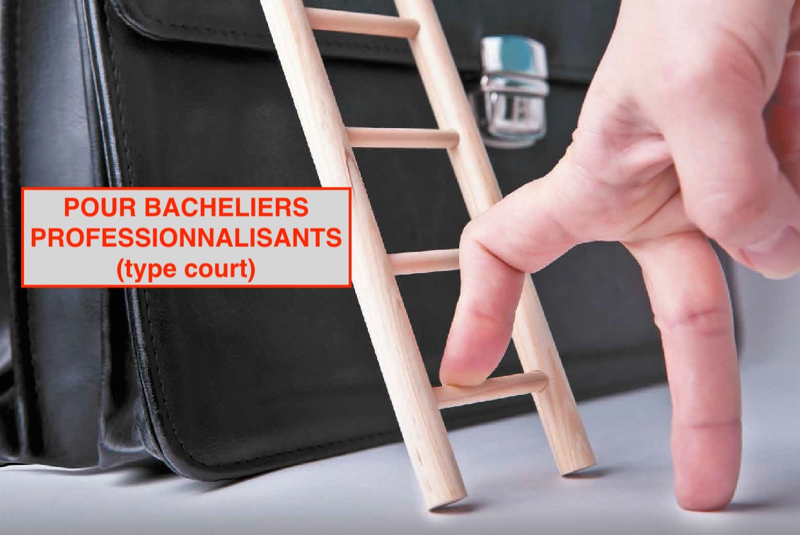 image d'illustration pour la FAQ <b>Passerelles</b> > à quels masters ai-je accès après un bachelier professionnalisant (type court - 3 ans) ?